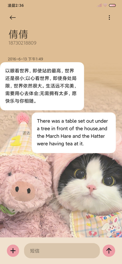 可爱猪咪告白换图 screenshot