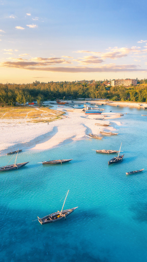 Aerial view of the fishing boats on tropical sea coast screenshot