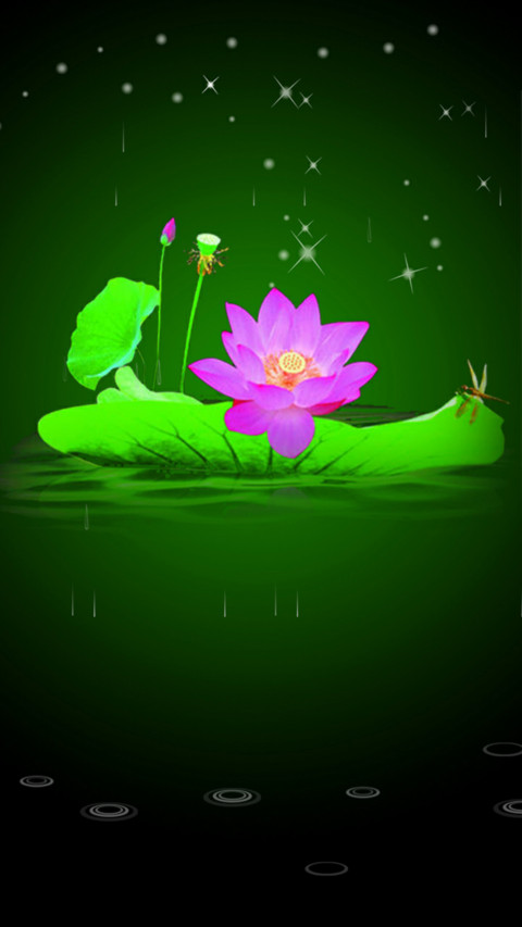 一花一世界 screenshot