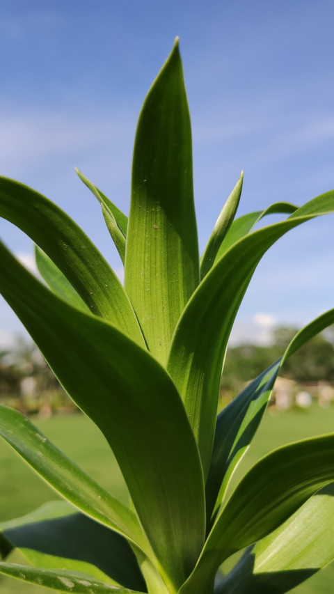 Redmi K20 B2 (9) screenshot