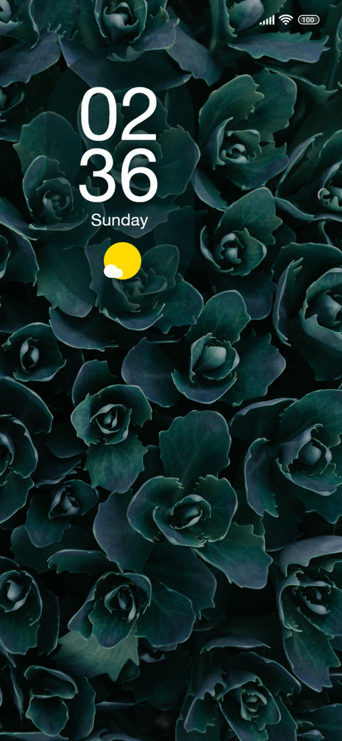 Green Rose screenshot