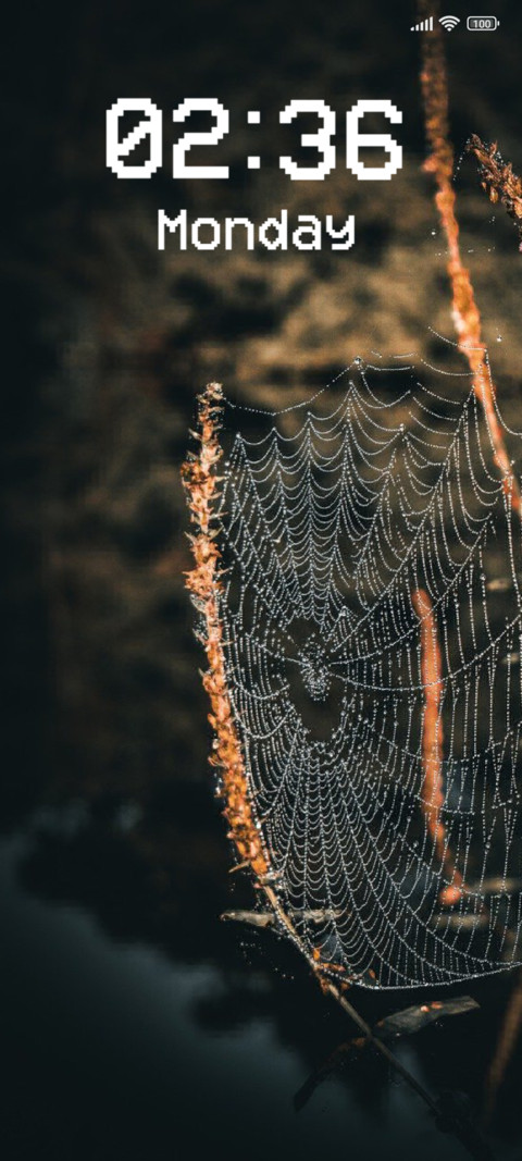 Spider Web screenshot