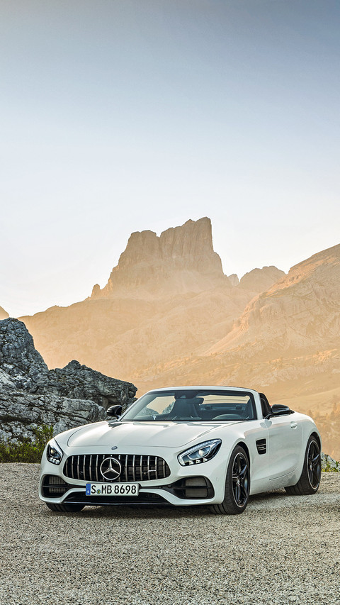 奔驰AMG GT R screenshot
