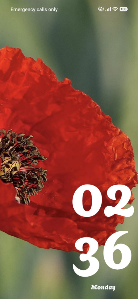 Poppy screenshot