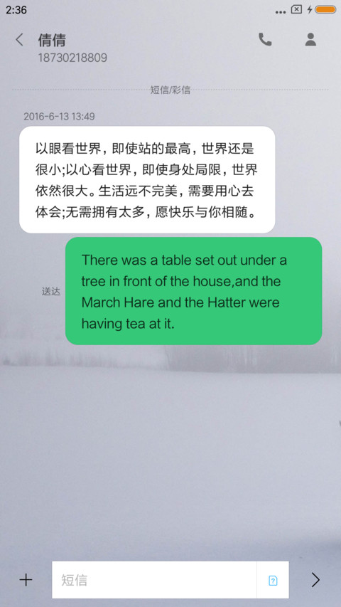素妆 screenshot