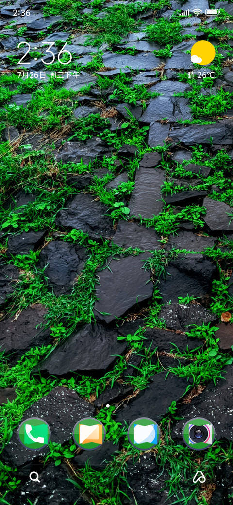 Grassyrock_DWM2 screenshot