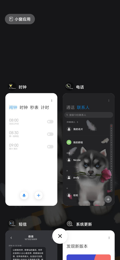 我的哈士奇 screenshot