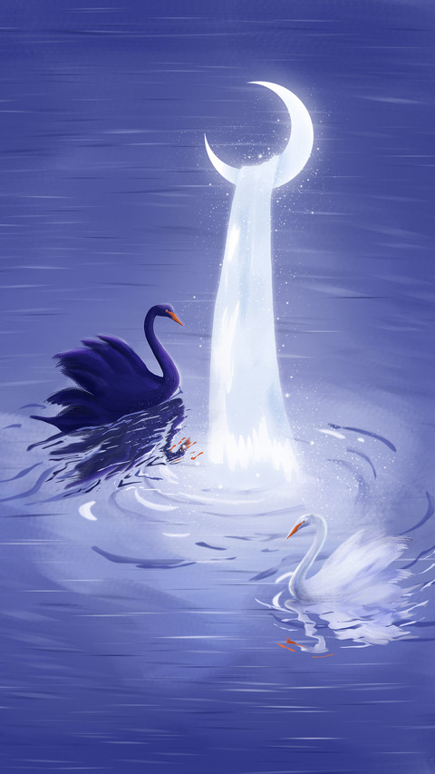 A Pair of Black and White Swans under the Waterfall screenshot