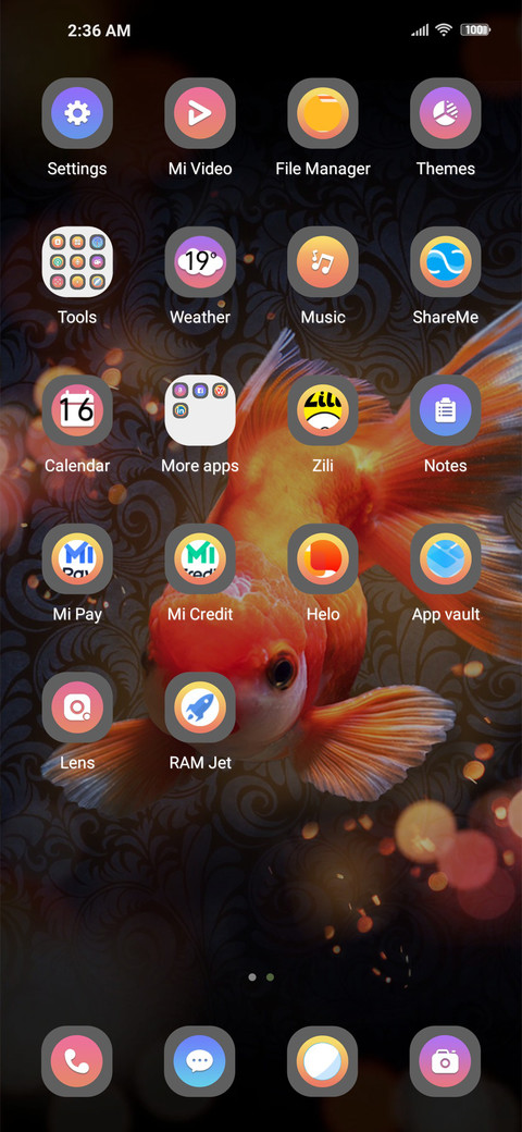 Koi carp screenshot