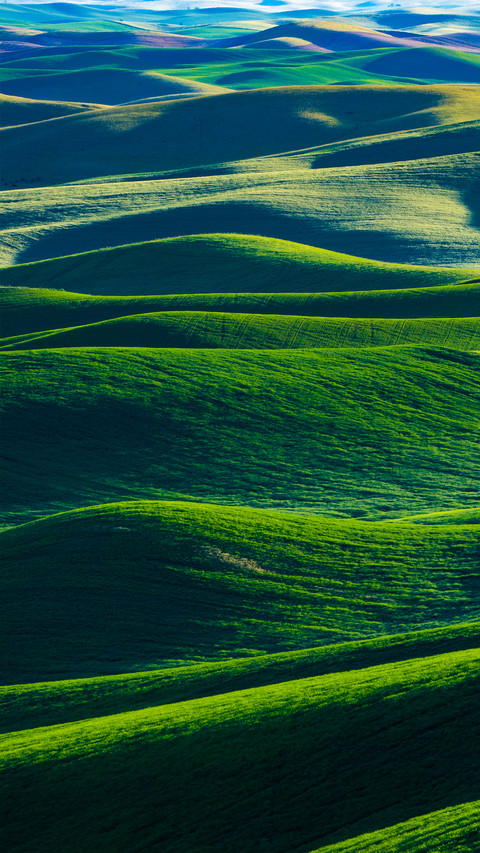 Green fields screenshot