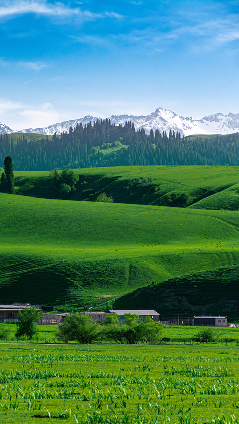 The green and blue scroll spread beneath the snowcapped screenshot
