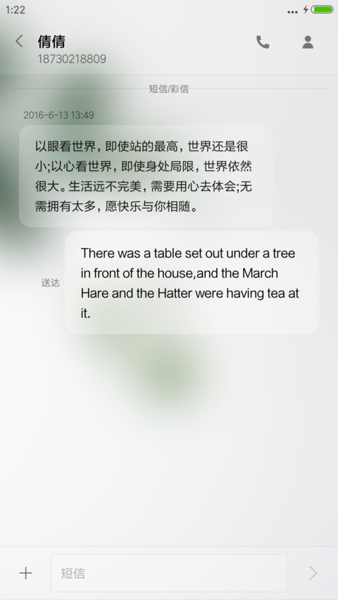 优雅绿叶 screenshot
