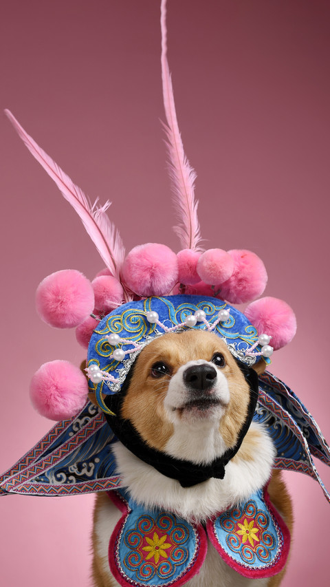 What is the role of dogs in the ancient battlefield 4 screenshot