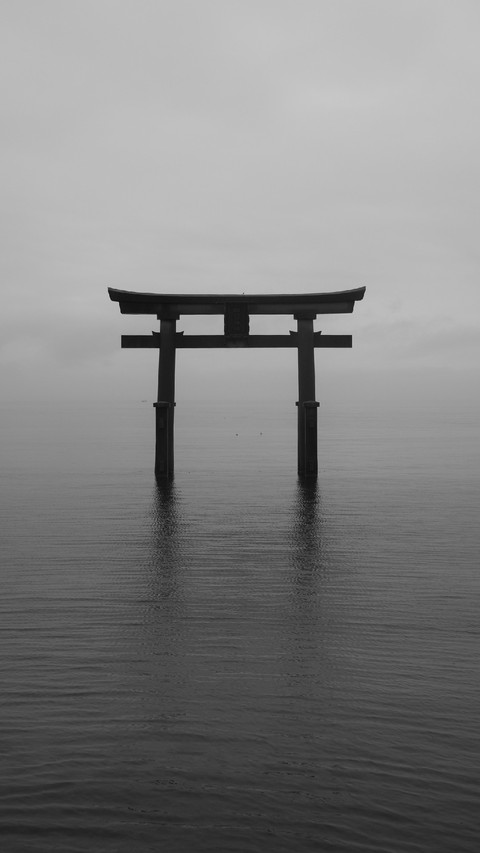鸟居 screenshot