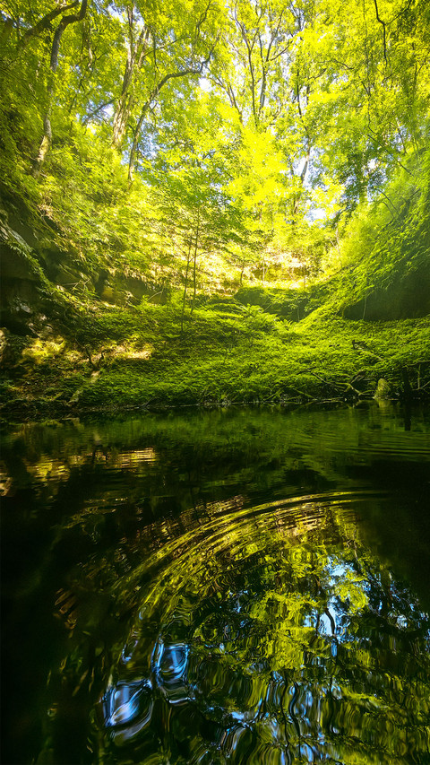 The green pool reflects the greenery screenshot