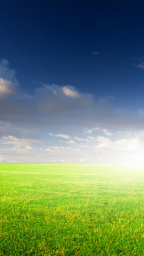 Eye care green grass screenshot