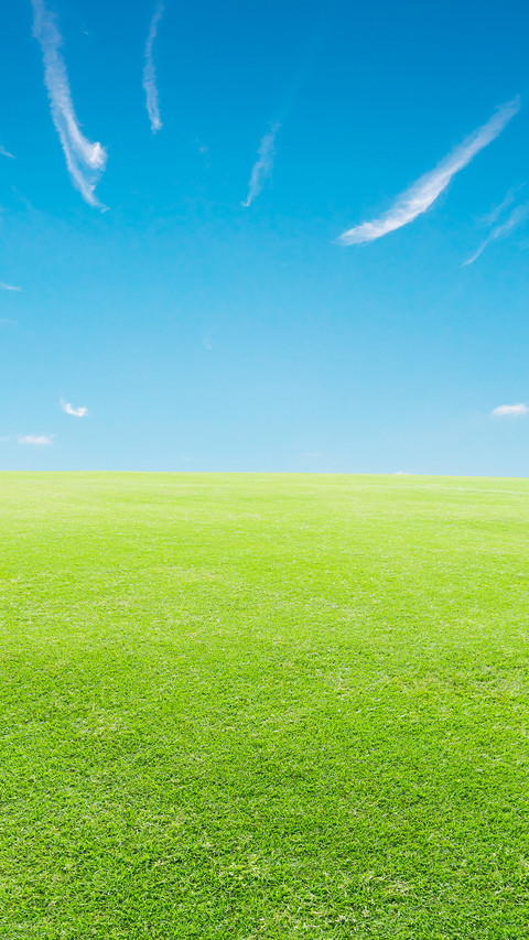 Green Grass And Blue Sky screenshot