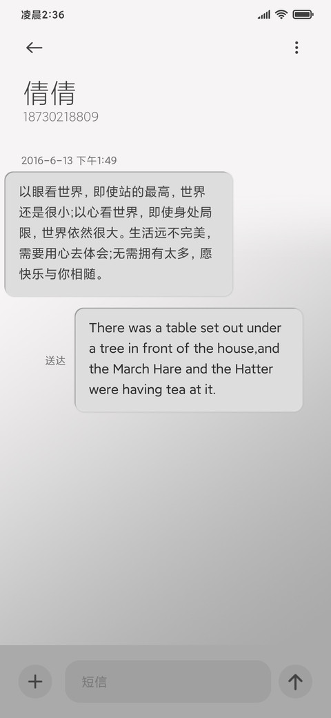 灰调拟物 screenshot