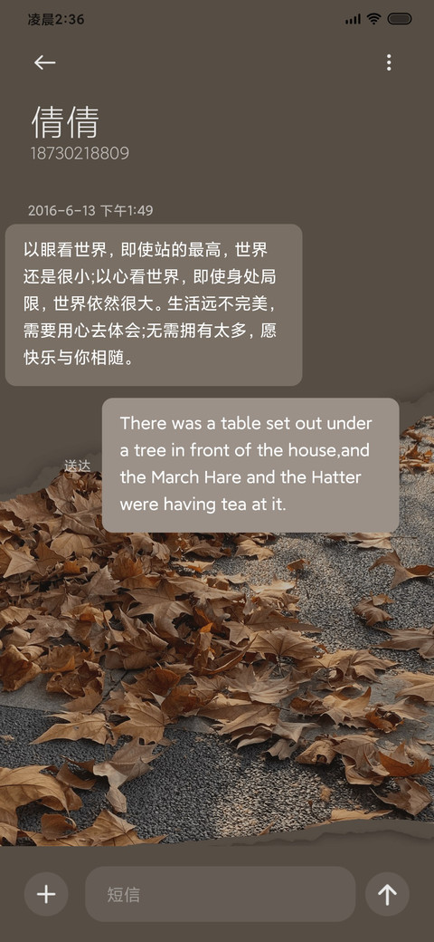 秋日私语 一叶知秋 screenshot