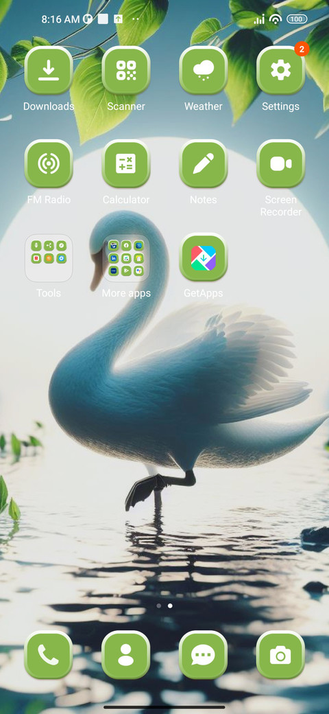 Beautiful Swan screenshot