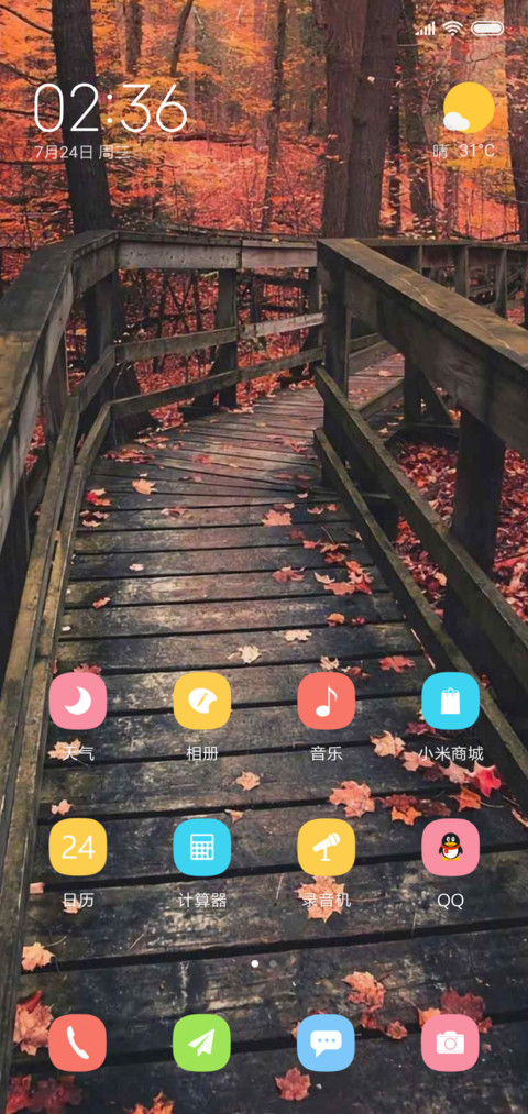 枫树叶的小道 screenshot