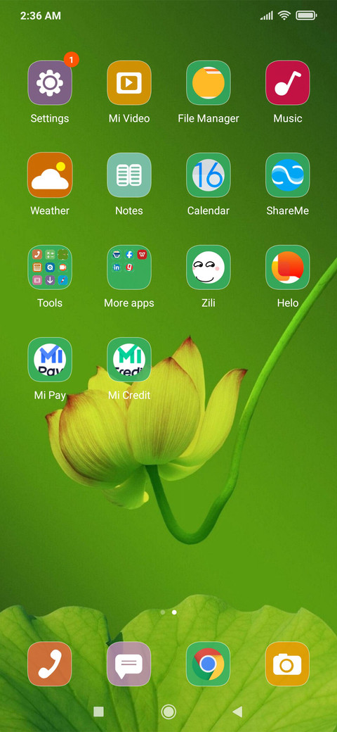 Lily_DWM19 screenshot