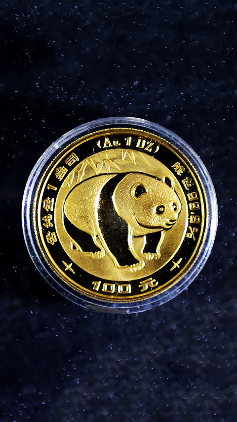 Panda gold coins screenshot