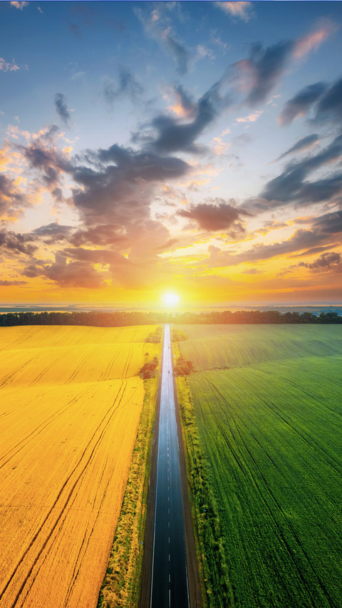 Aerial Top View of Rural Road Passing through field screenshot