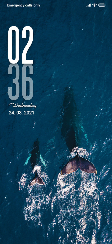 Whale duo screenshot