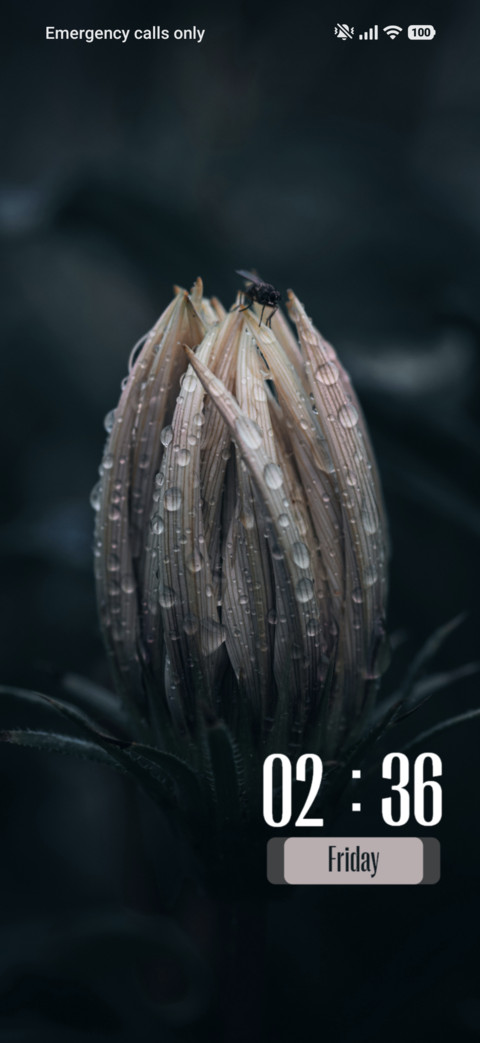 Bud screenshot