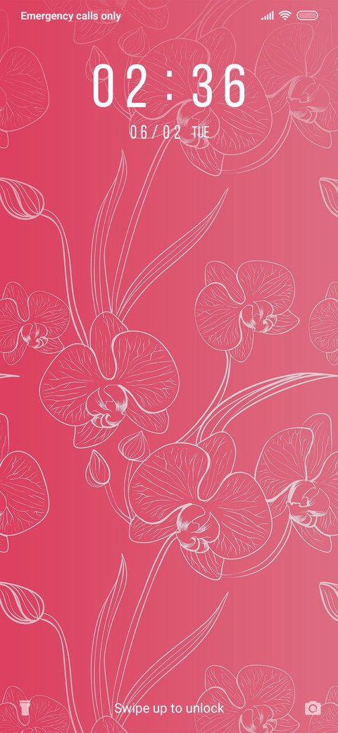 Orchids_3MDP screenshot
