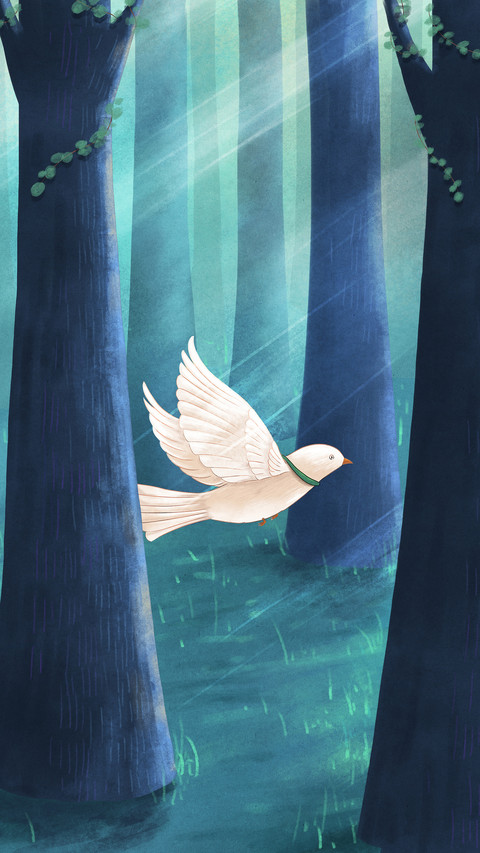 Illustration 2 screenshot
