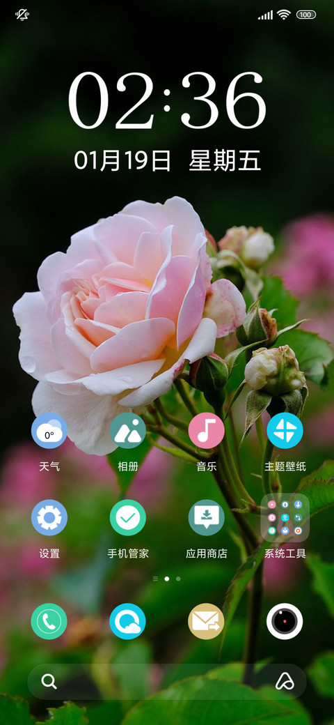 护眼玫瑰 screenshot