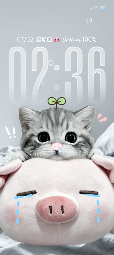 ins呆萌猫咪小猪 screenshot