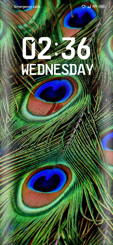 Peacock feathers screenshot