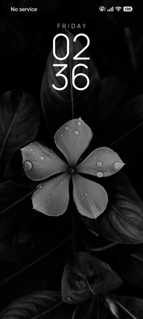 Bloom Mist screenshot