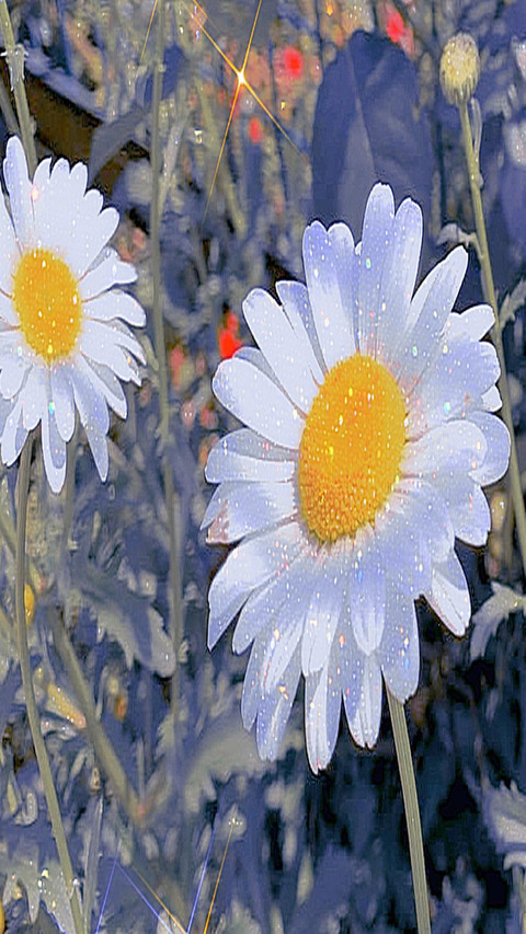 Blooming flower screenshot