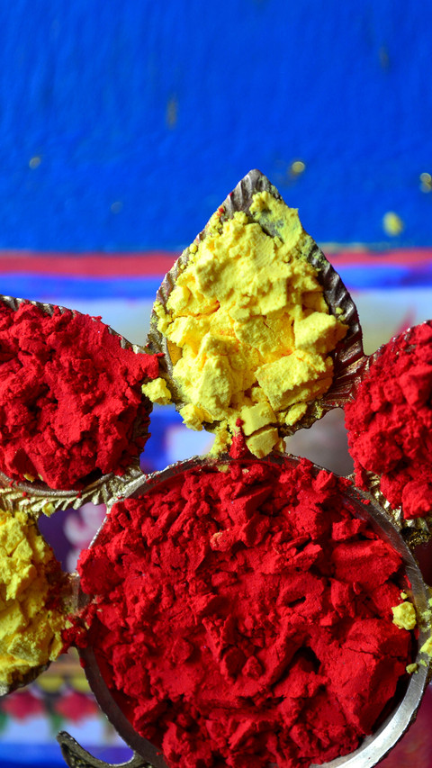 India-Holi (8) screenshot