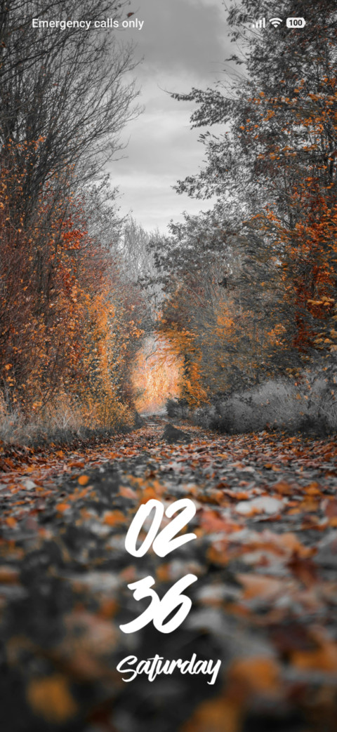 Forest screenshot