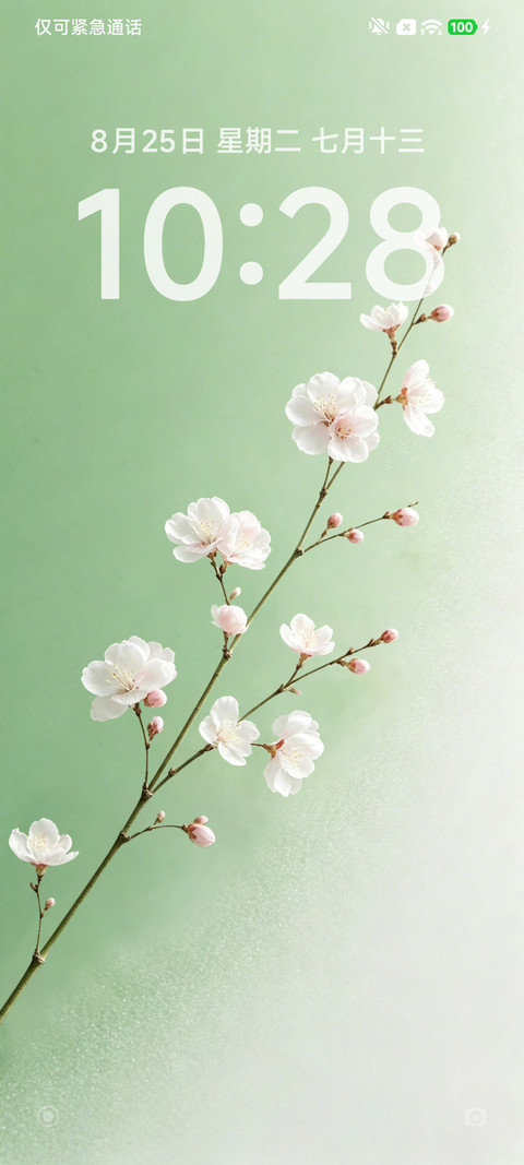 简约雅致 screenshot