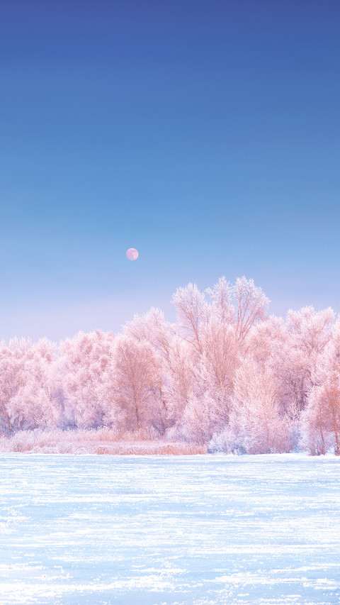 雪景拍摄有哪些技巧？ screenshot