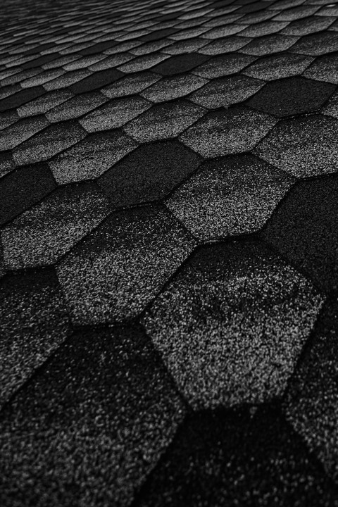 New Trends 2 screenshot