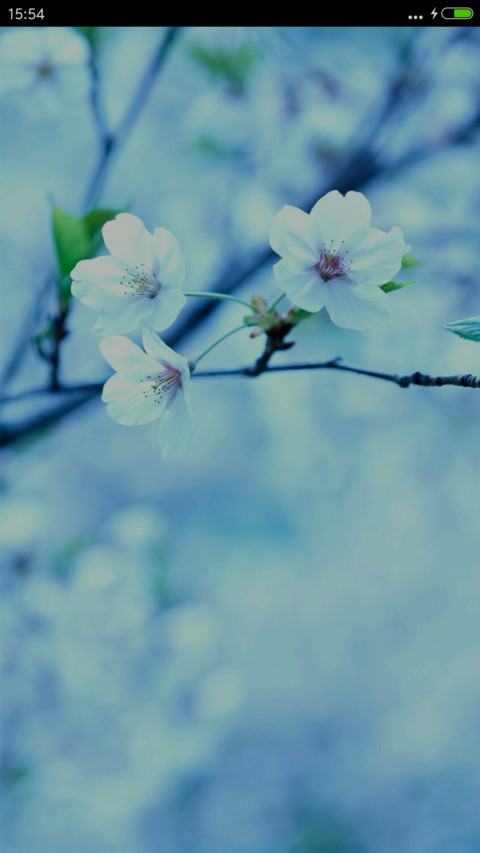 栀子花开（好评抽奖动态） screenshot