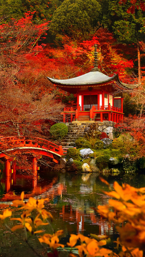 京都红叶狩 screenshot