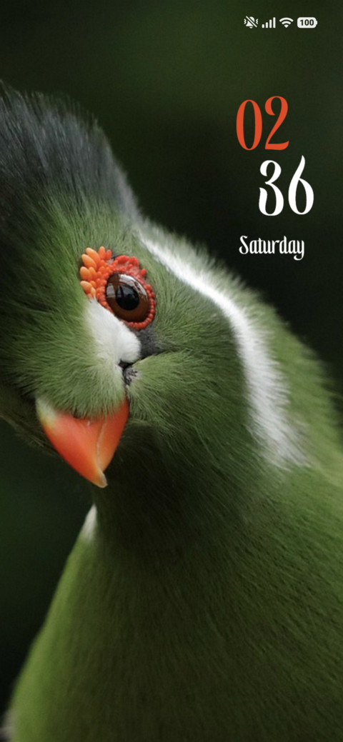 Green Beak screenshot