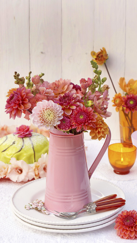 Plants suitable for office use 6 screenshot