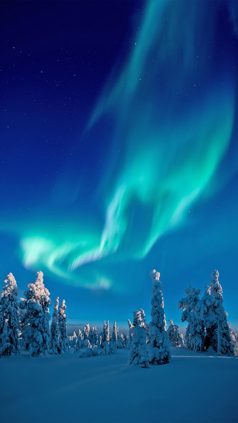 Beautiful Aurorae above Snow Filled Forest in Finland screenshot