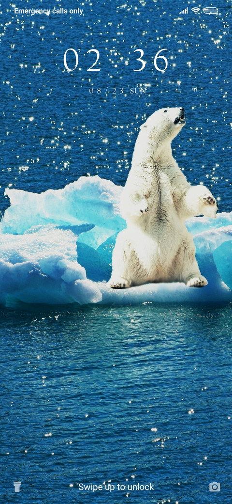 Polar Bear_3MDS screenshot