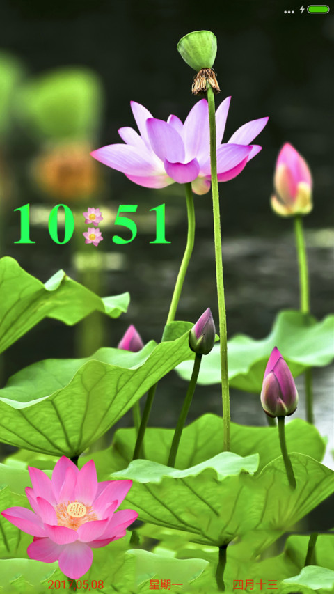莲花净 screenshot