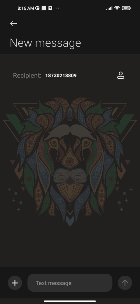 Colorful Lion screenshot